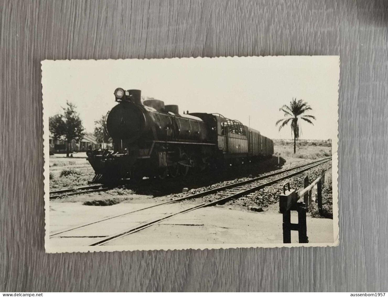 Locomotive à Vapeur Au Congo Belge - Eisenbahnen