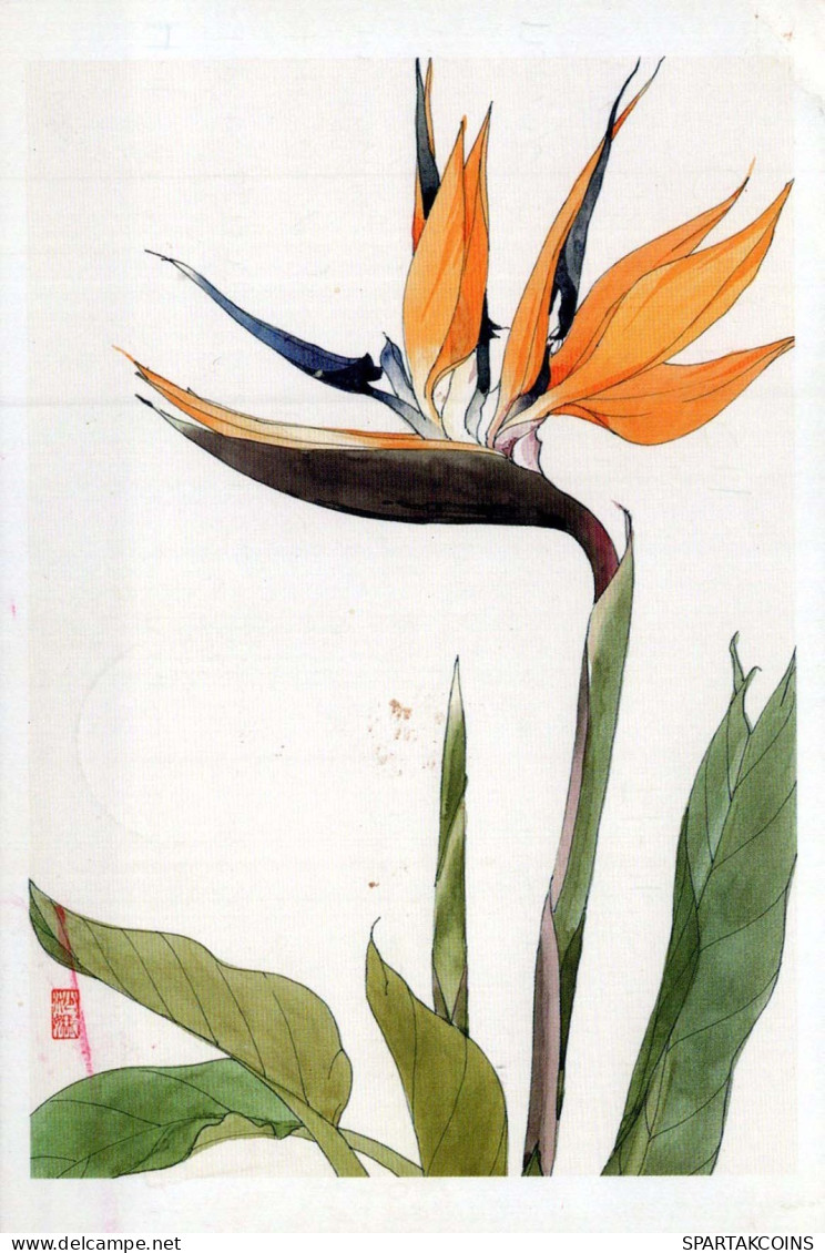 FLOWERS Vintage Postcard CPSM #PAR375.GB - Fleurs