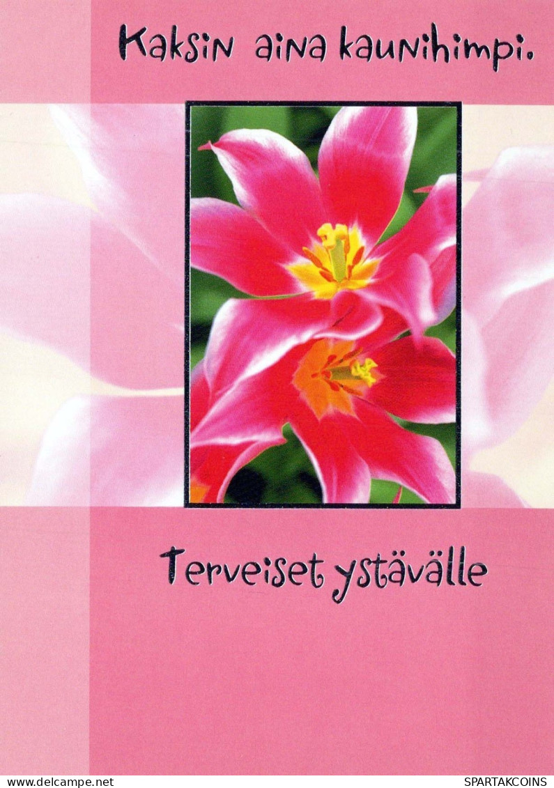 FLORES Vintage Tarjeta Postal CPSM #PBZ746.ES - Fleurs