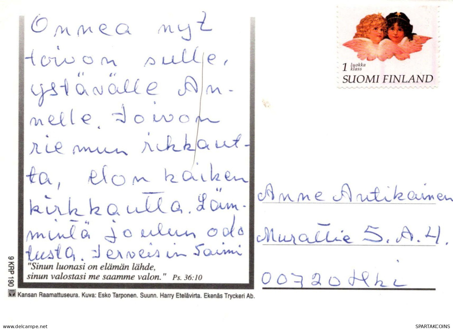 FLORES Vintage Tarjeta Postal CPSM #PBZ384.ES - Fleurs