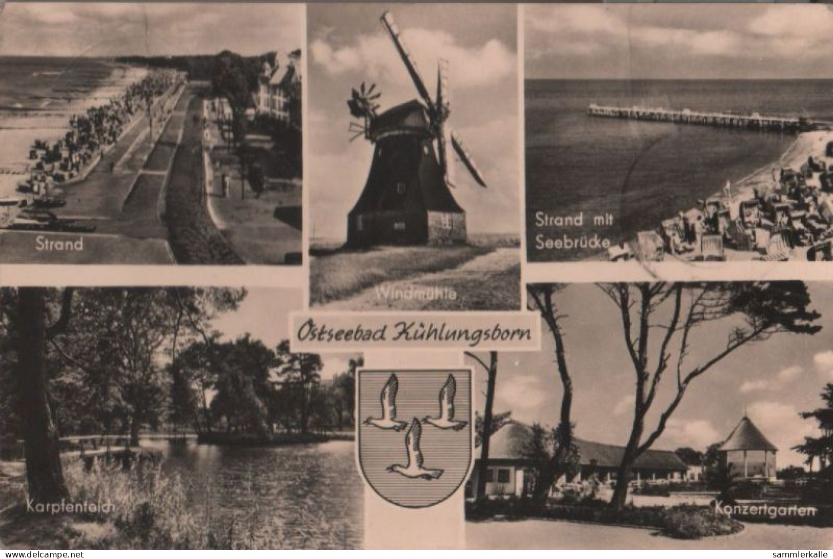 61914 - Kühlungsborn - U.a. Karpfenteich - 1962 - Kuehlungsborn