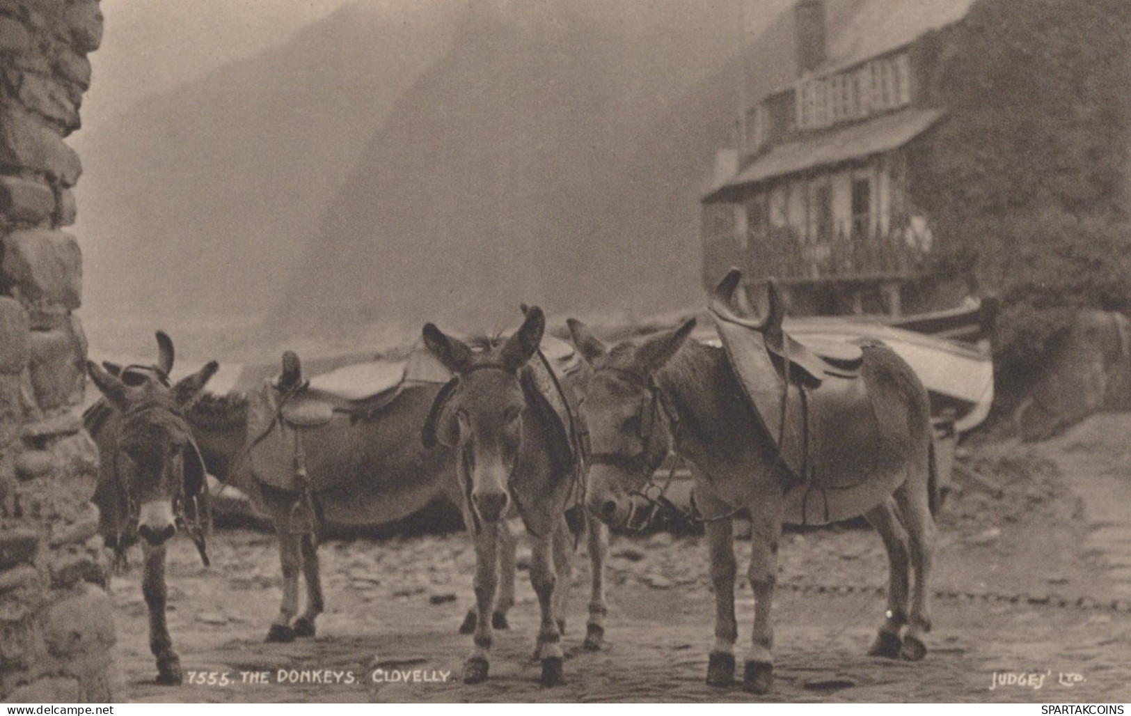 ÂNE Animaux Vintage Antique CPA Carte Postale #PAA061.FR - Burros