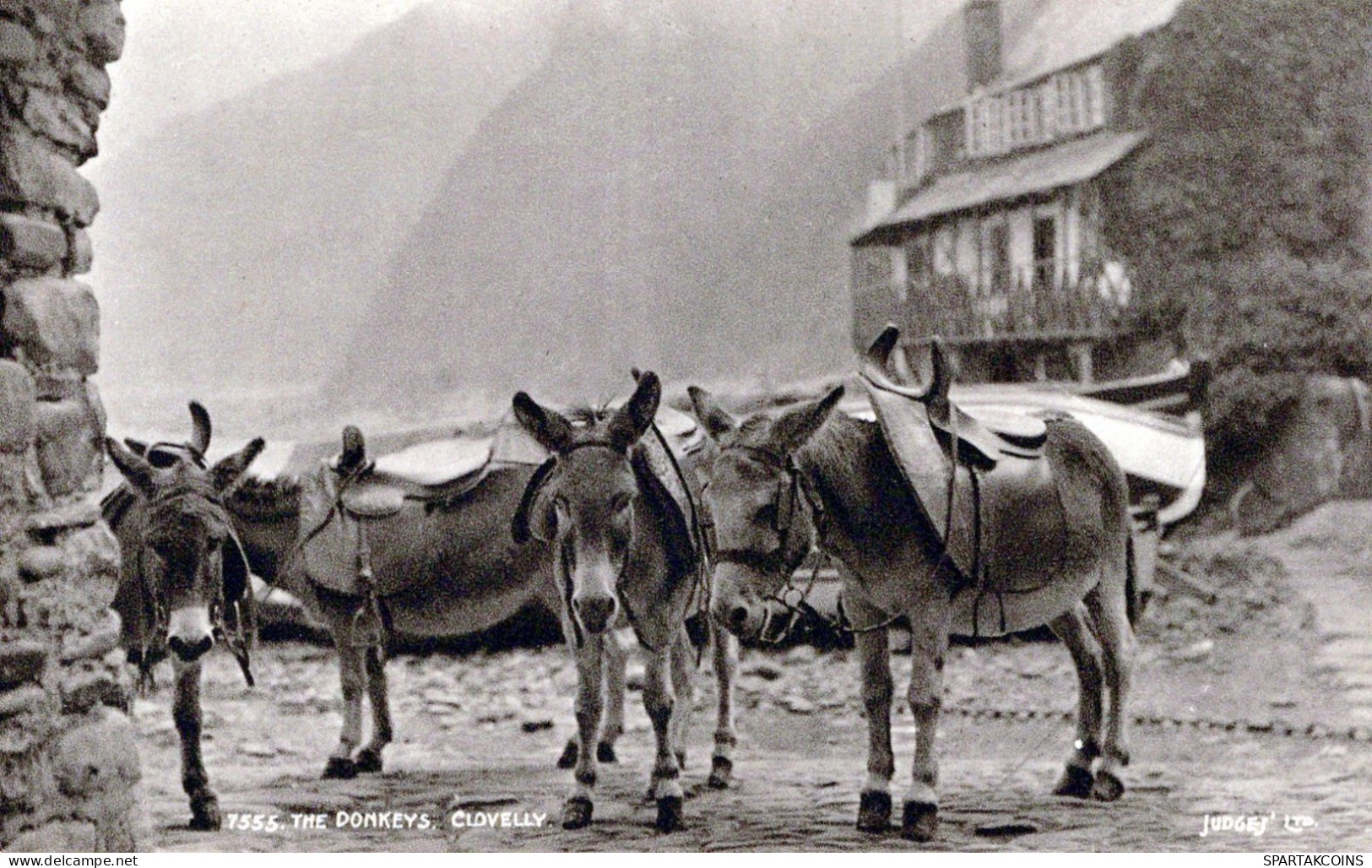 ÂNE Animaux Vintage Antique CPA Carte Postale #PAA061.FR - Ezels