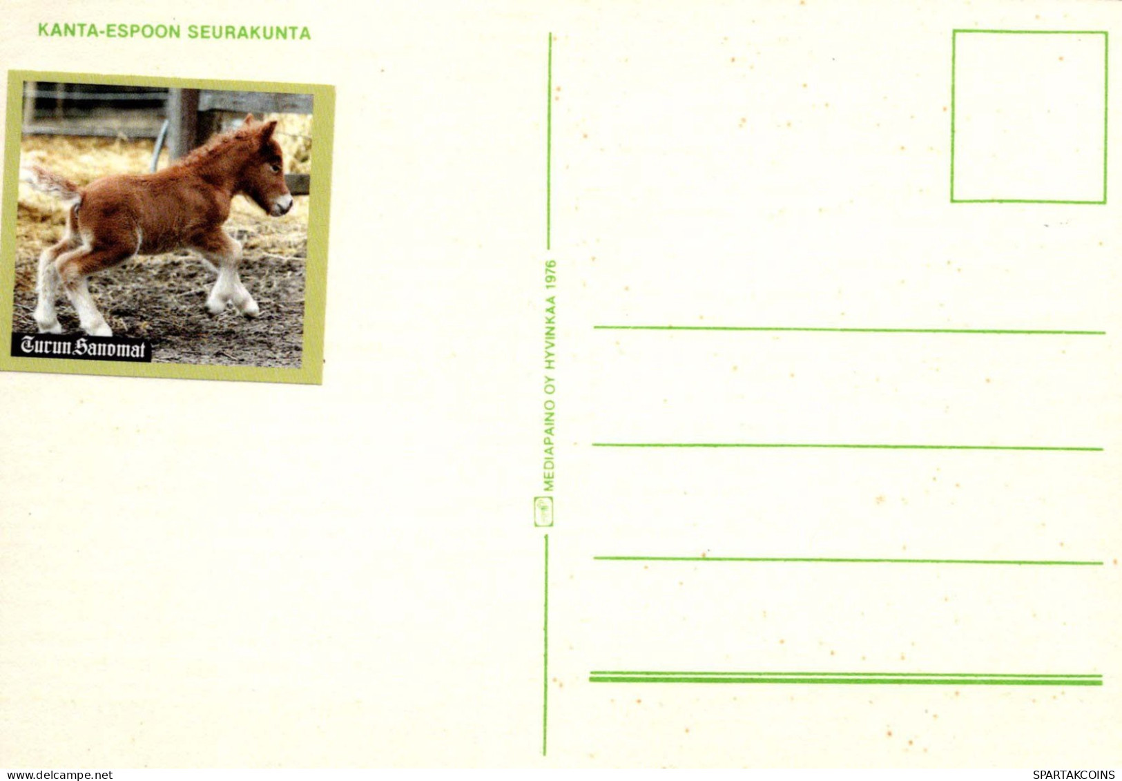 CAVALLO Animale Vintage Cartolina CPSM #PBR886.IT - Chevaux