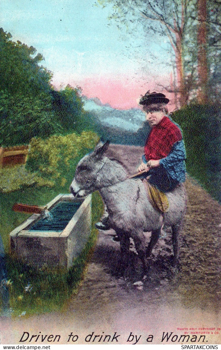 ESEL Tiere Vintage Antik Alt CPA Ansichtskarte Postkarte #PAA163.DE - Donkeys