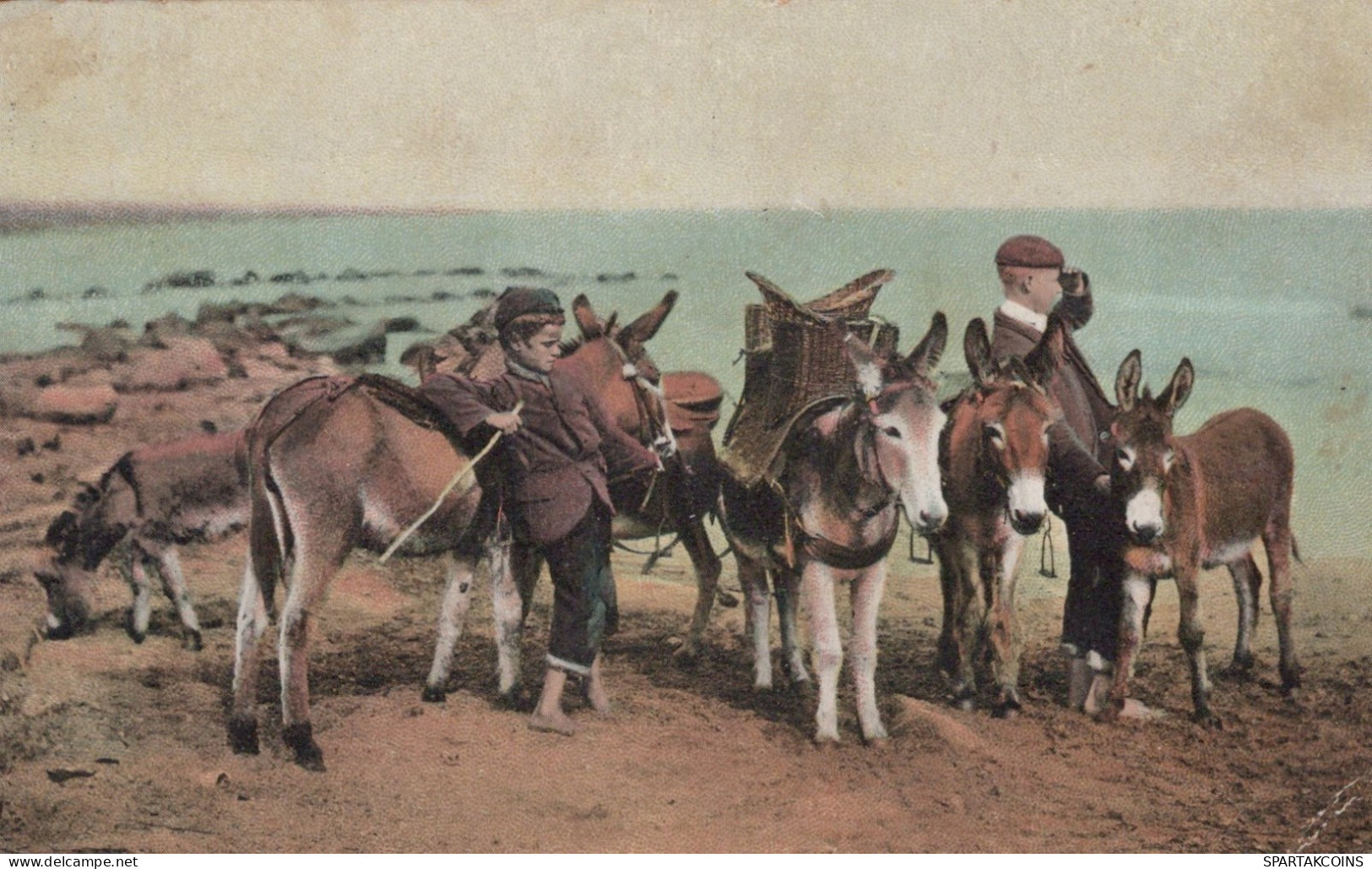 ASINO Animale BAMBINO Vintage CPA Cartolina #PAA327.IT - Donkeys