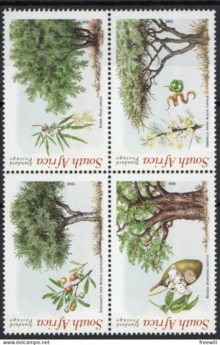 Arbres- Trees -Bomen  XXX - Alberi