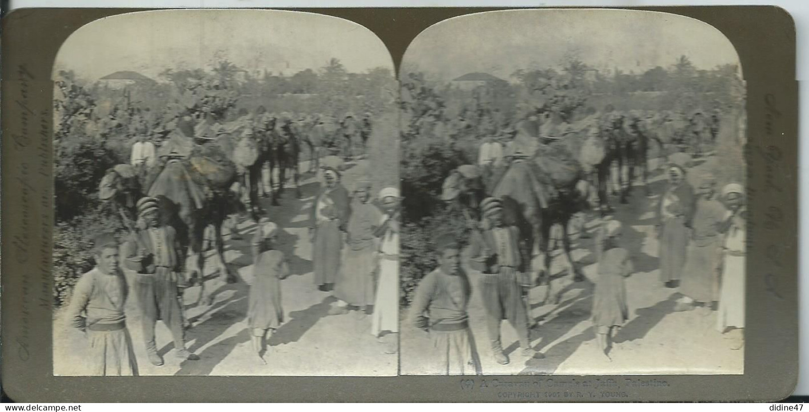 PHOTO STEREOSCOPIQUE -  CARAVANE DE CHAMEAUX ENTRE JAFFA ET Et JERUSALEM - Photos Stéréoscopiques