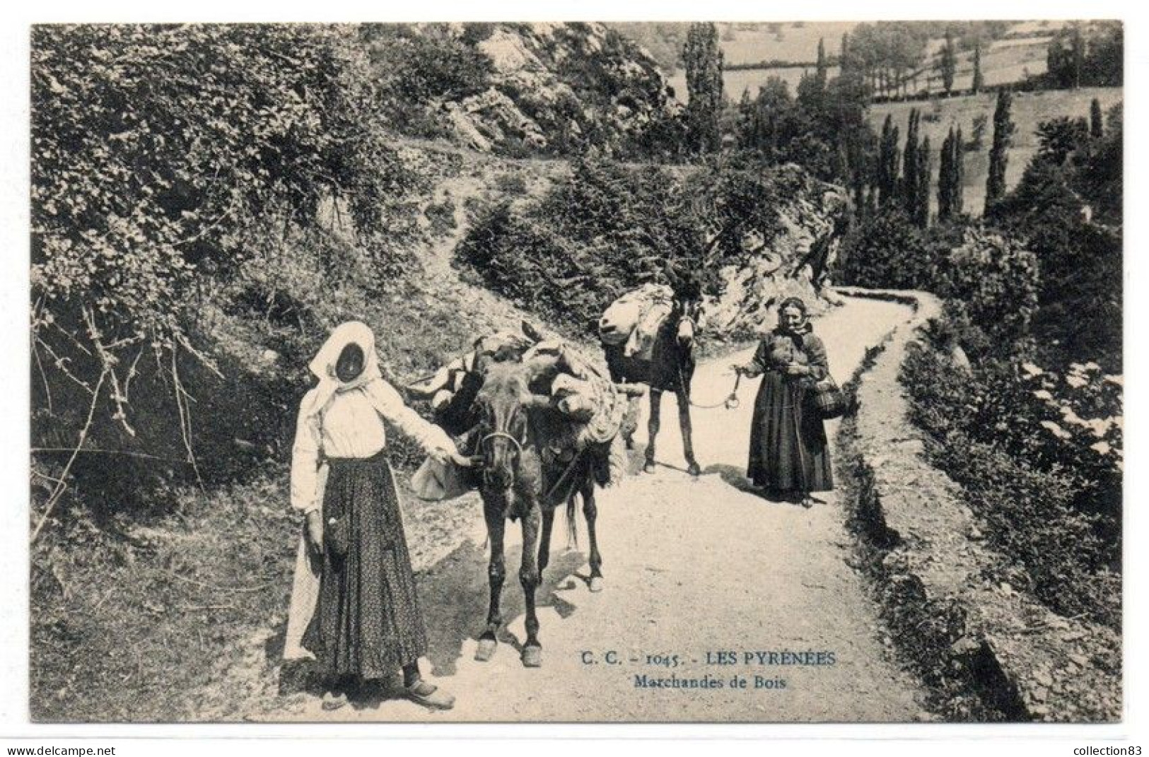 CPA LES PYRENEES Marchande De Bois Beau Plan - Aquitaine