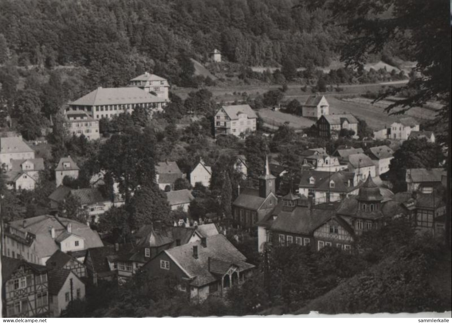 56535 - Schwarzburg - 1959 - Saalfeld