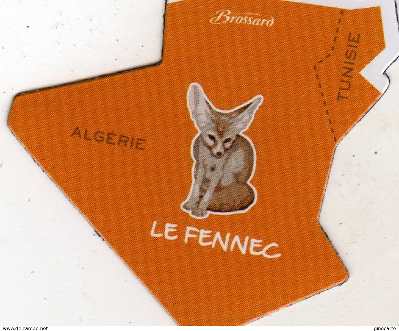 Magnets Magnet Afrique Brossard Algerie Le Fennec - Toerisme