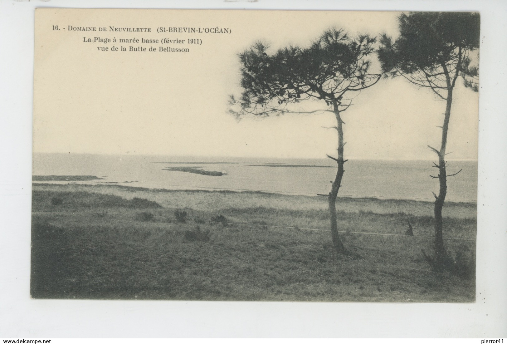 SAINT BRÉVIN L'OCÉAN - Domaine De NEUVILLETTE - La Plage à Marée Basse (février 1911) Vue De La Butte De Bellusson - Saint-Brevin-l'Océan