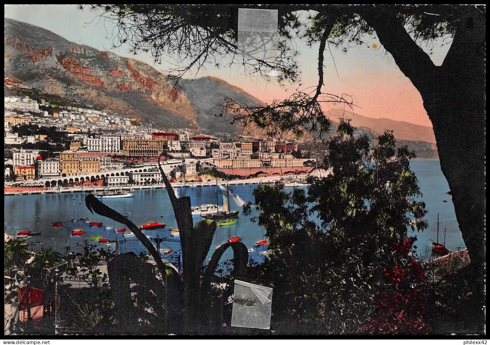 12901 N°305A Monaco Seul Sur Carte Postale 1949 Postcard - Briefe U. Dokumente