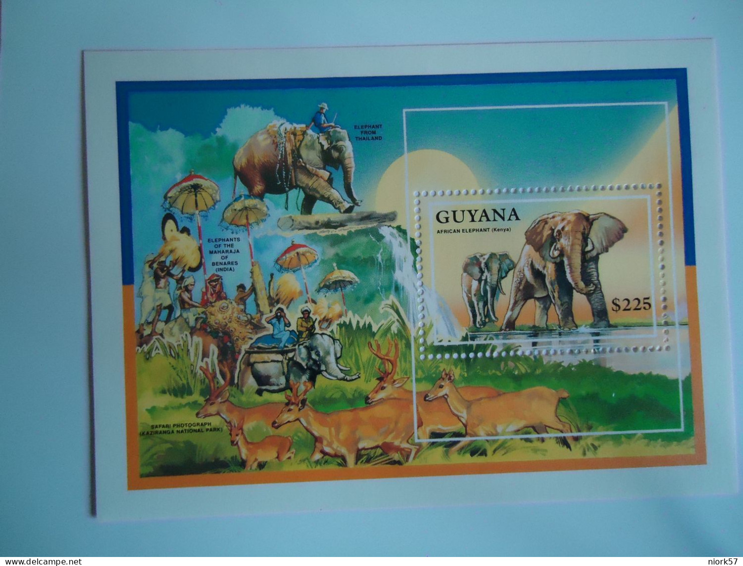 GUYANA  MNH  SHEET   ANIMALS  ELEPHANTS OF WORLDS - Eléphants