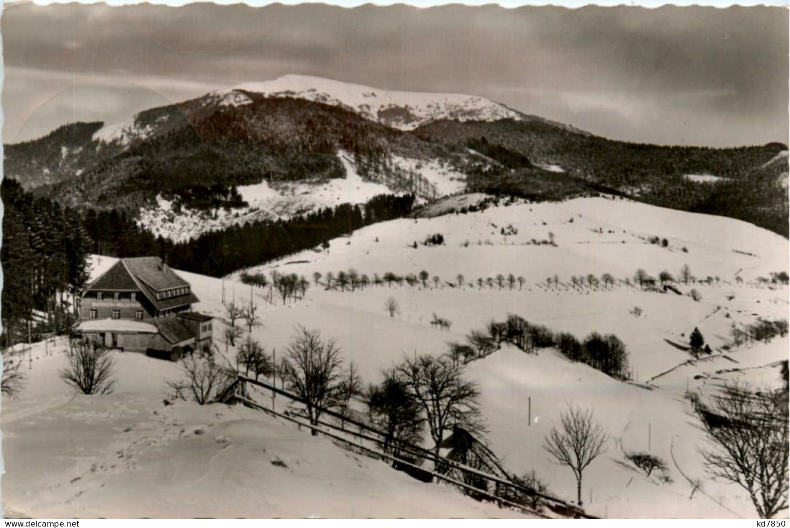 Schönau, Gasthof Haldenhof - Badenweiler