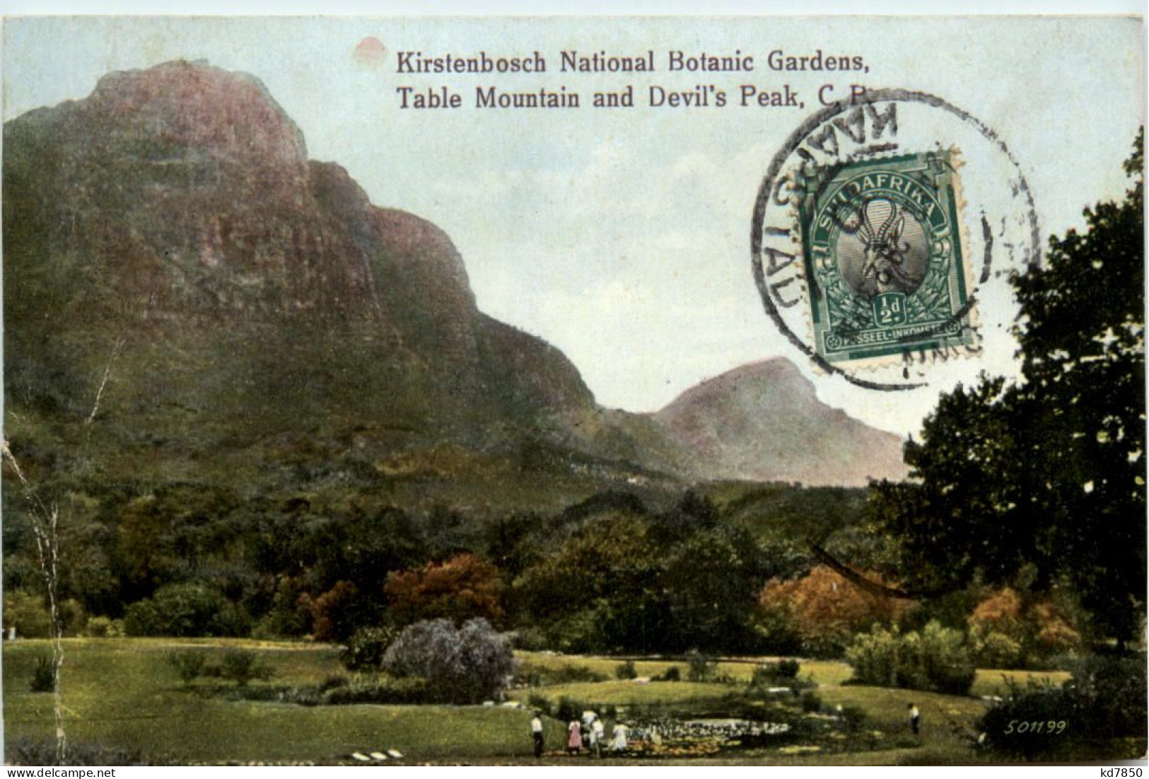 Kirstenbosch National Botanic Gardens - Zuid-Afrika