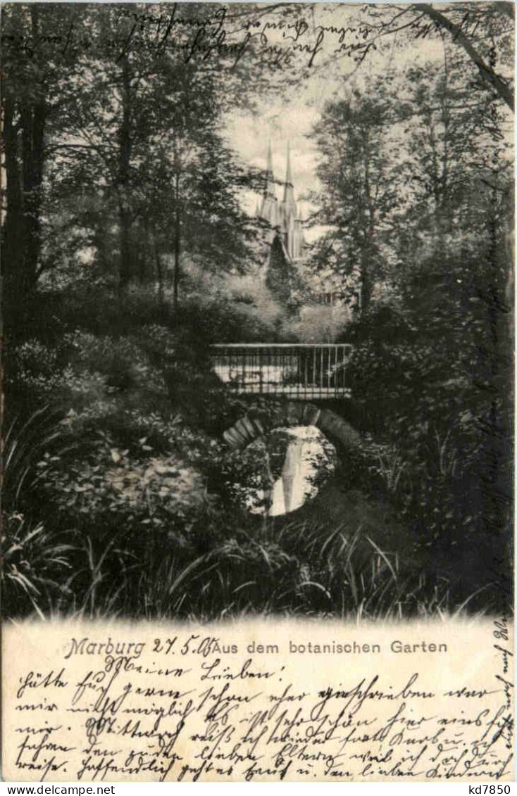 Marburg, Aus Dem Botanischen Garten - Marburg