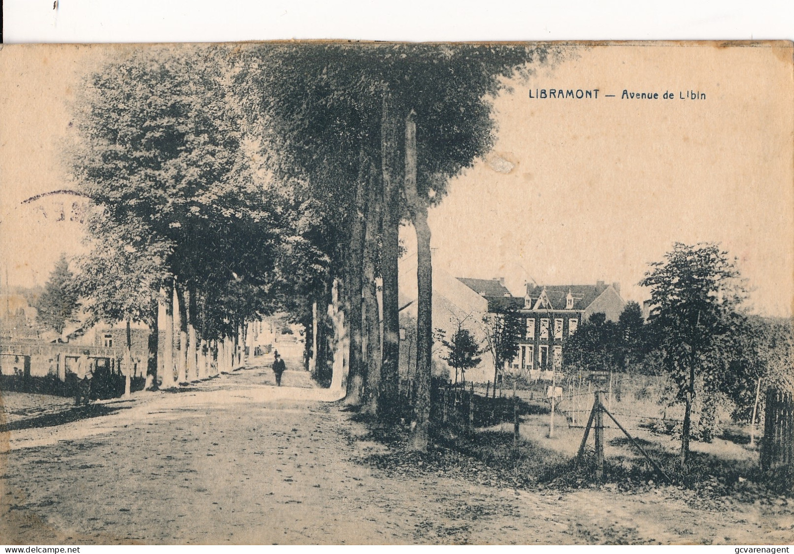 LIBRAMONT  AVENUE DE LIBIN       ZIE AFBEELDINGEN - Libramont-Chevigny