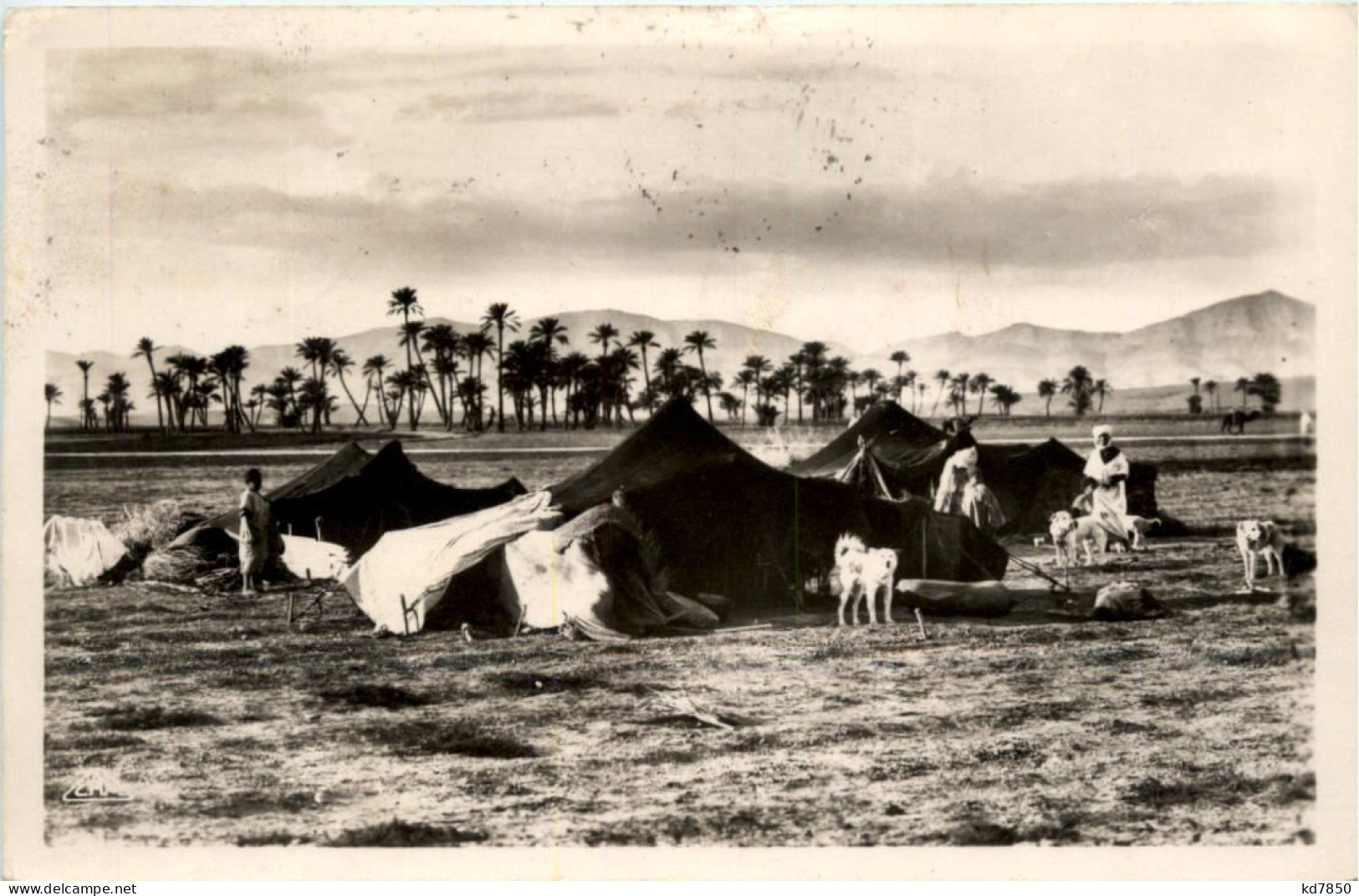 Algerie - Campement De Nomades - Scenes