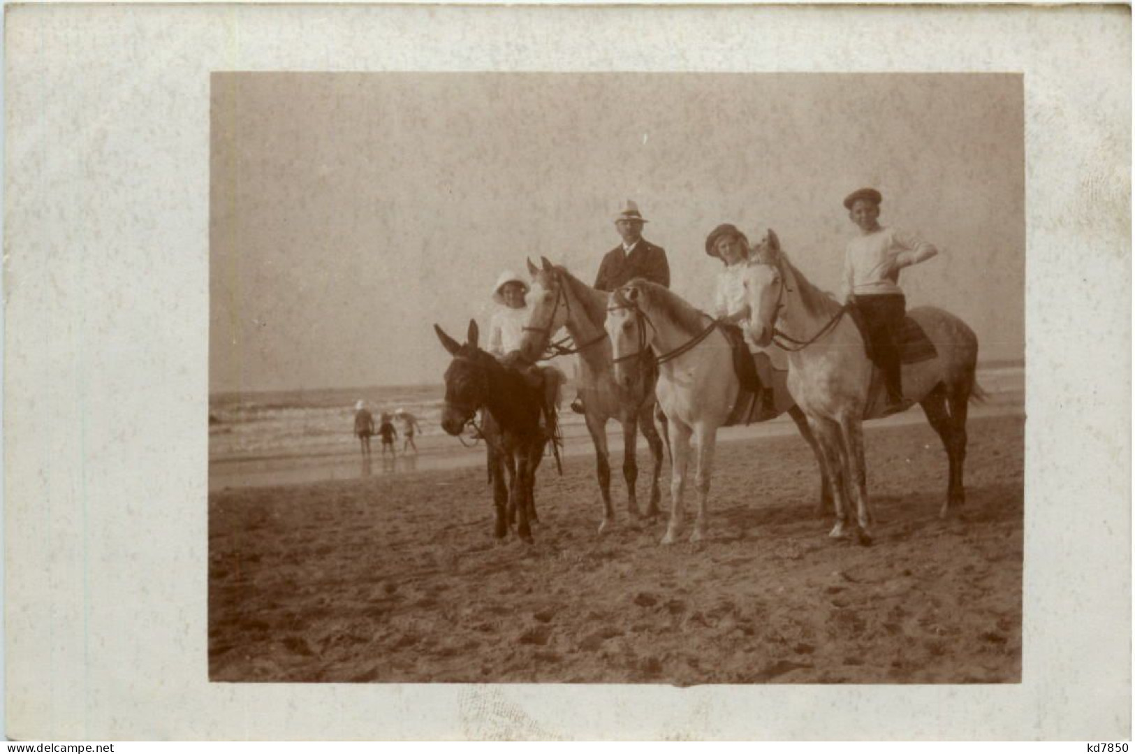 Pferd Und Esel Am Strand - Chevaux