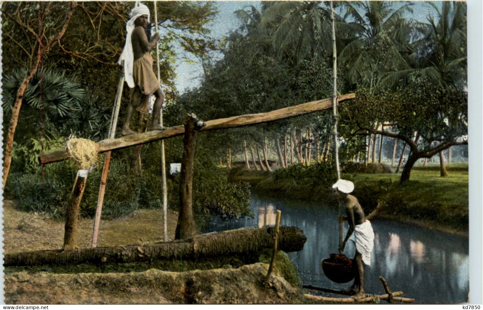 India - Wasserschöpfer Bei Der Arbeit - India