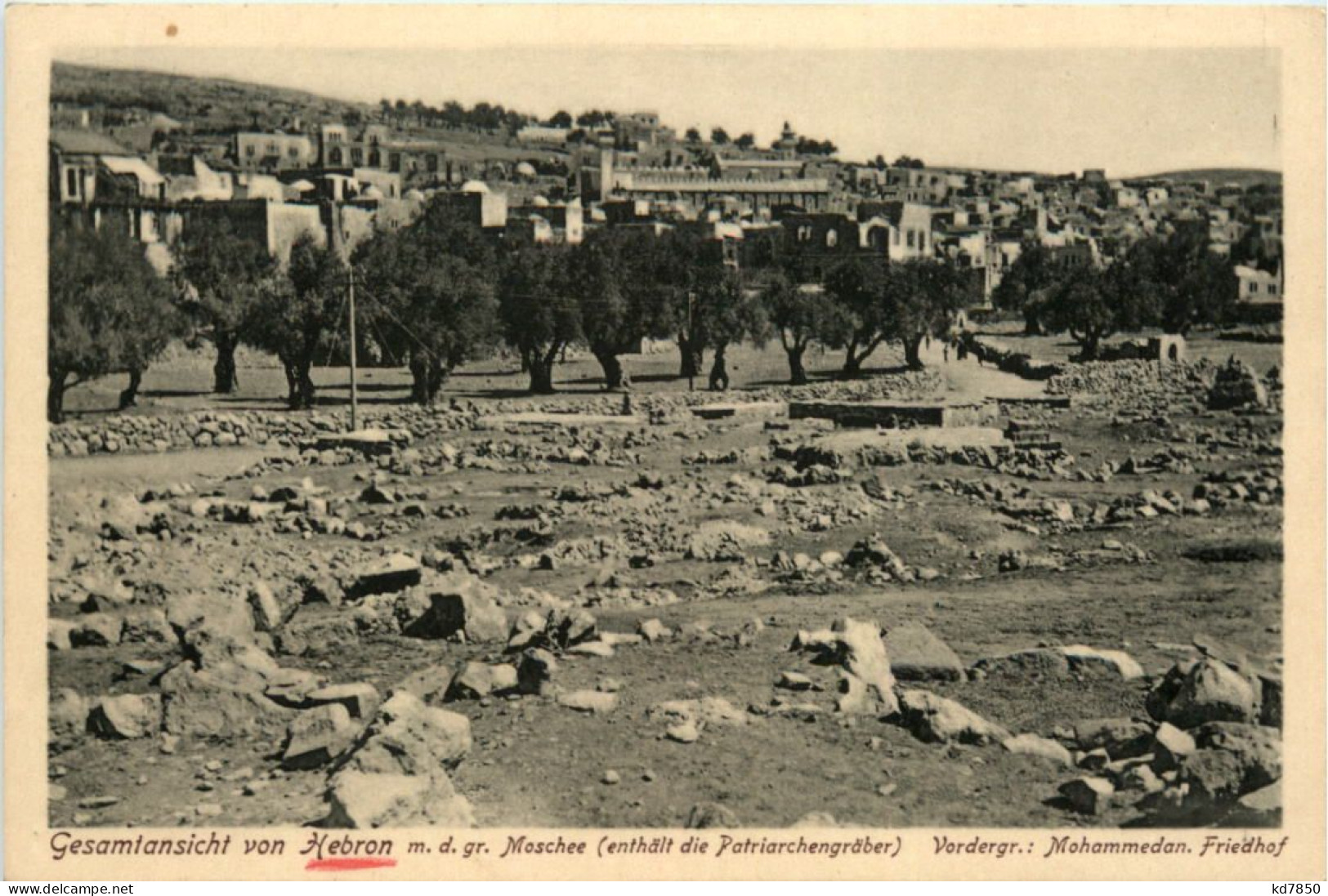 Hebron Mit Der Grossen Moschee - Palästina