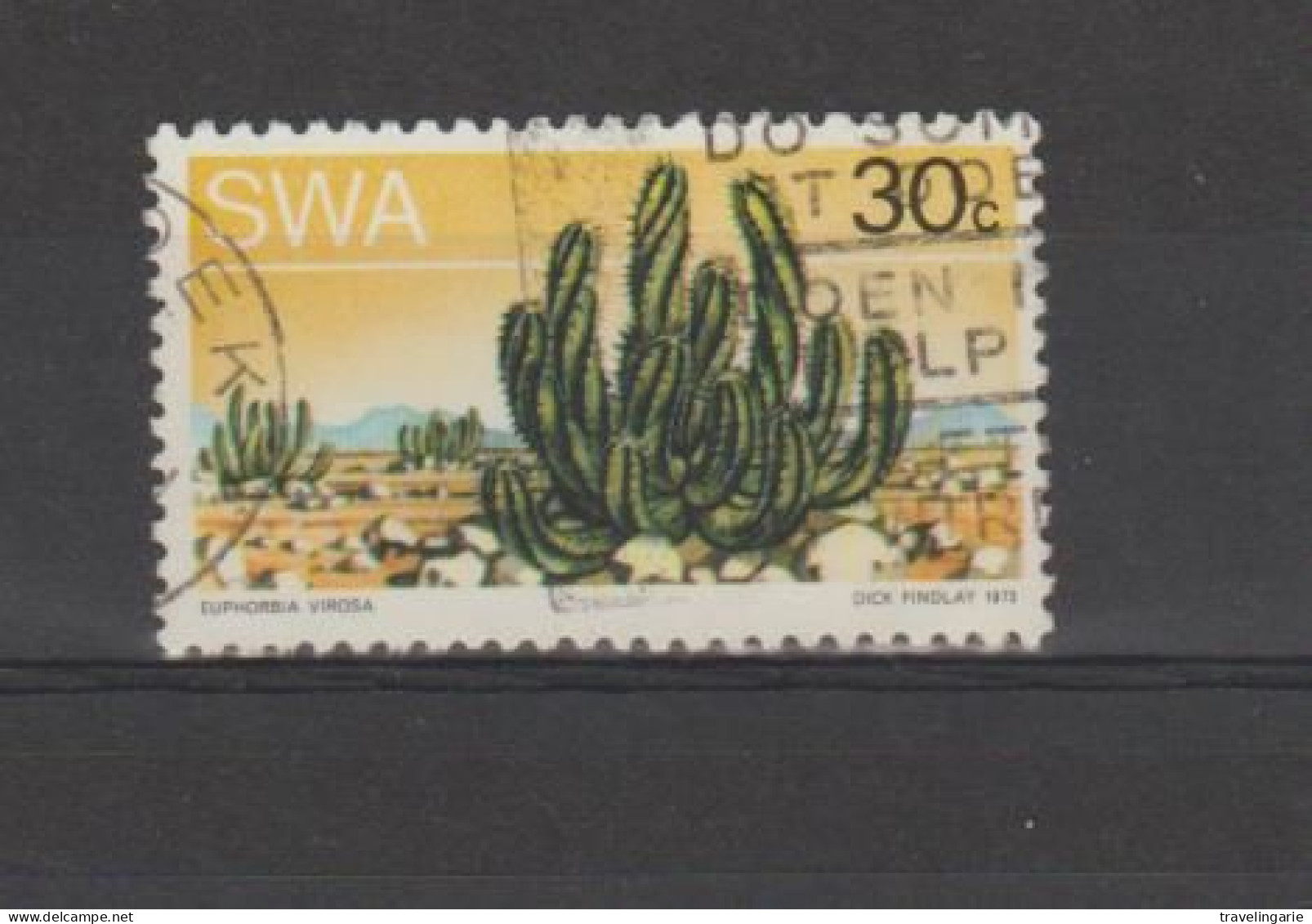 South West Africa 1973 Cactus 30 Cent Euphorbia Virosa Used ° - Africa Del Sud-Ovest (1923-1990)