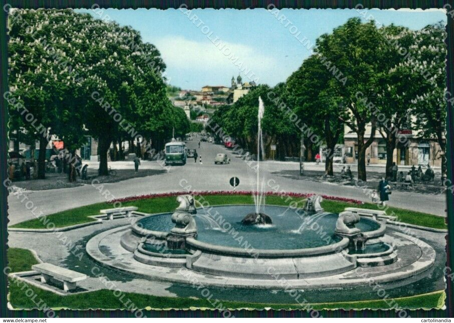 Bergamo Città Foto FG Cartolina ZK4401 - Bergamo