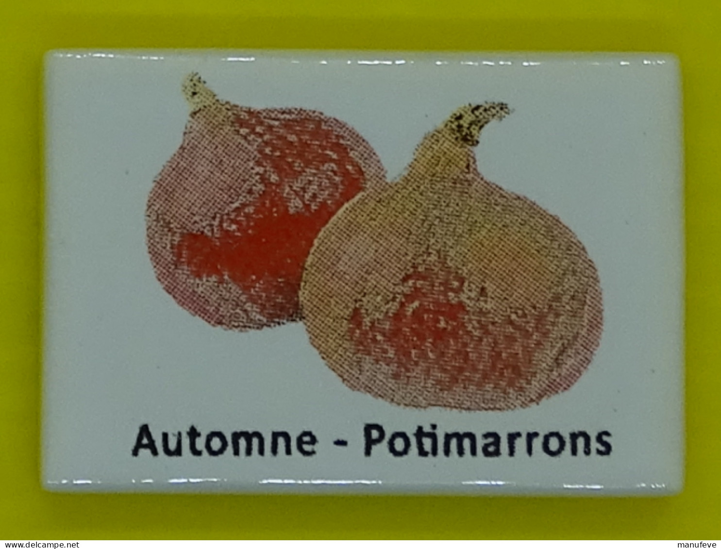 Fève - Légumes Et Fruits De Saison - Automne Potimarron  - Légume - Autres & Non Classés