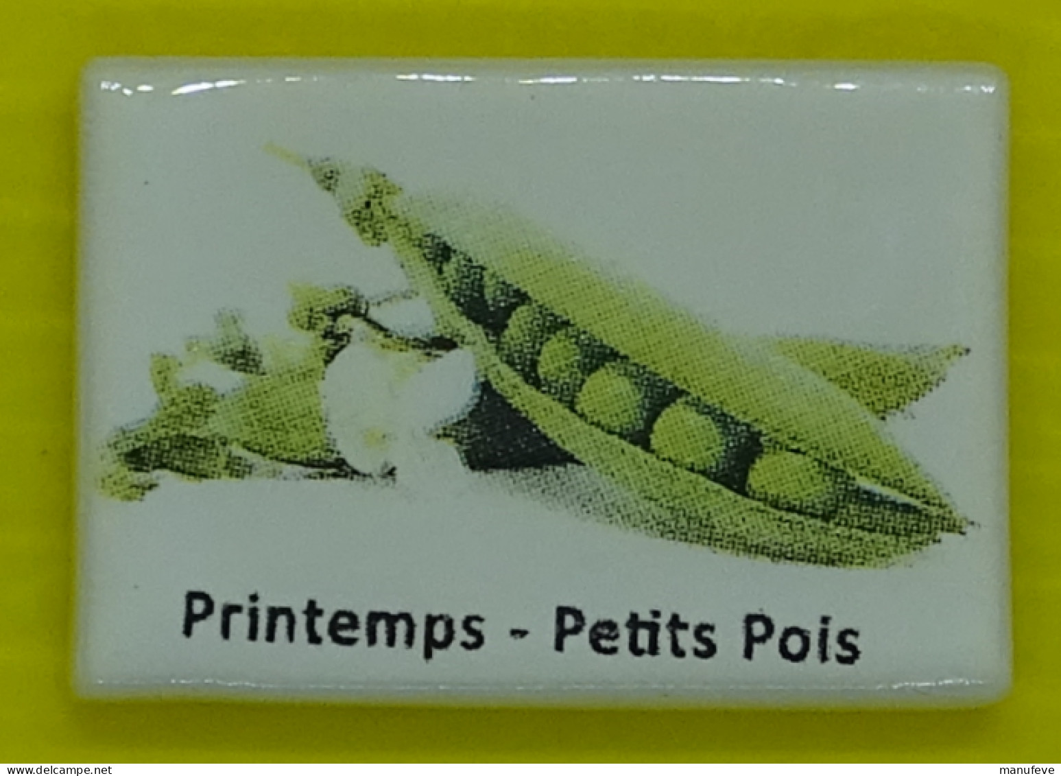 Fève - Légumes Et Fruits De Saison - Printemps Petits Pois - Légume - Autres & Non Classés