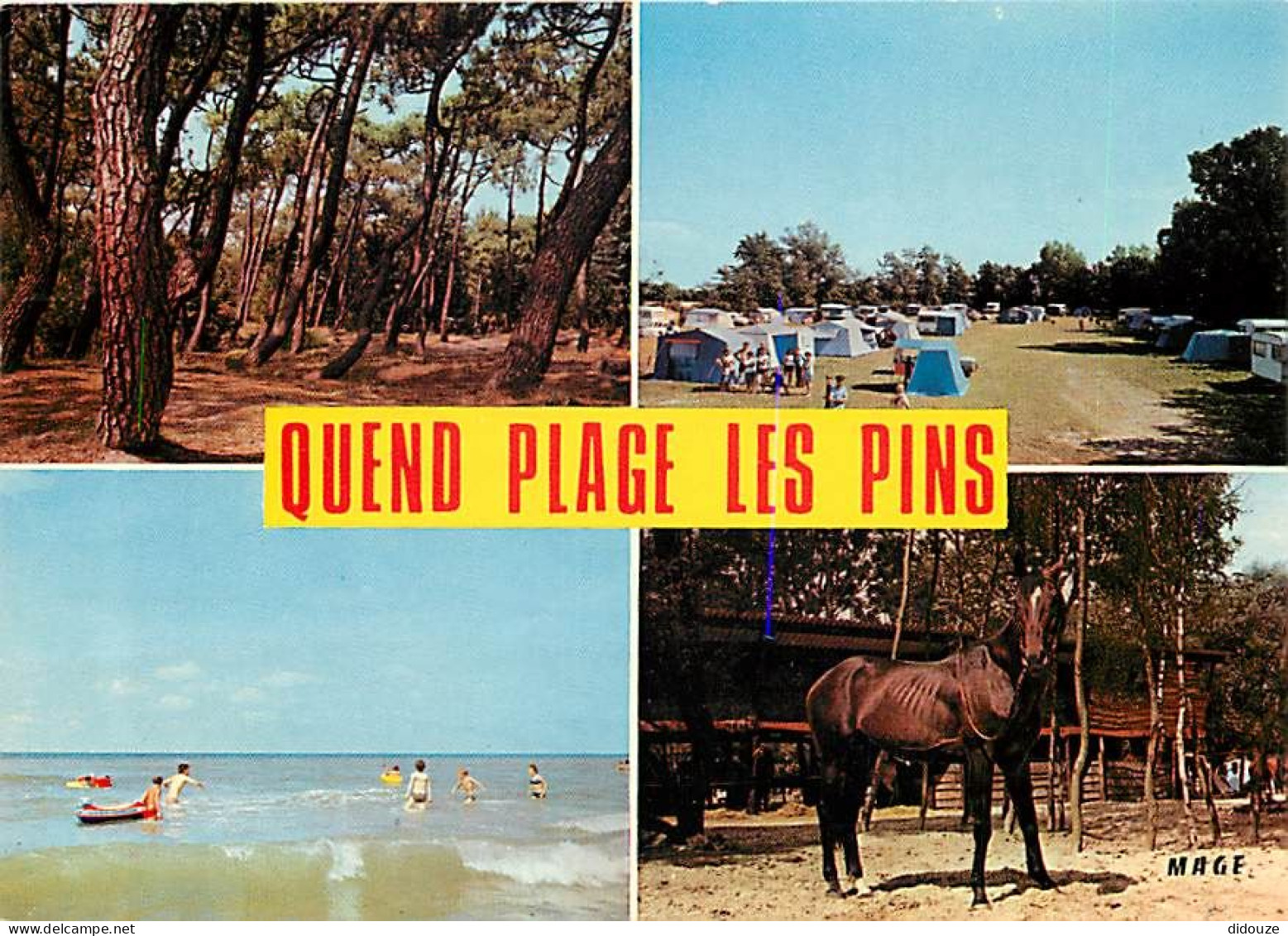 80 - Quend Plage Les Pins - Multivues - CPM - Voir Scans Recto-Verso - Quend