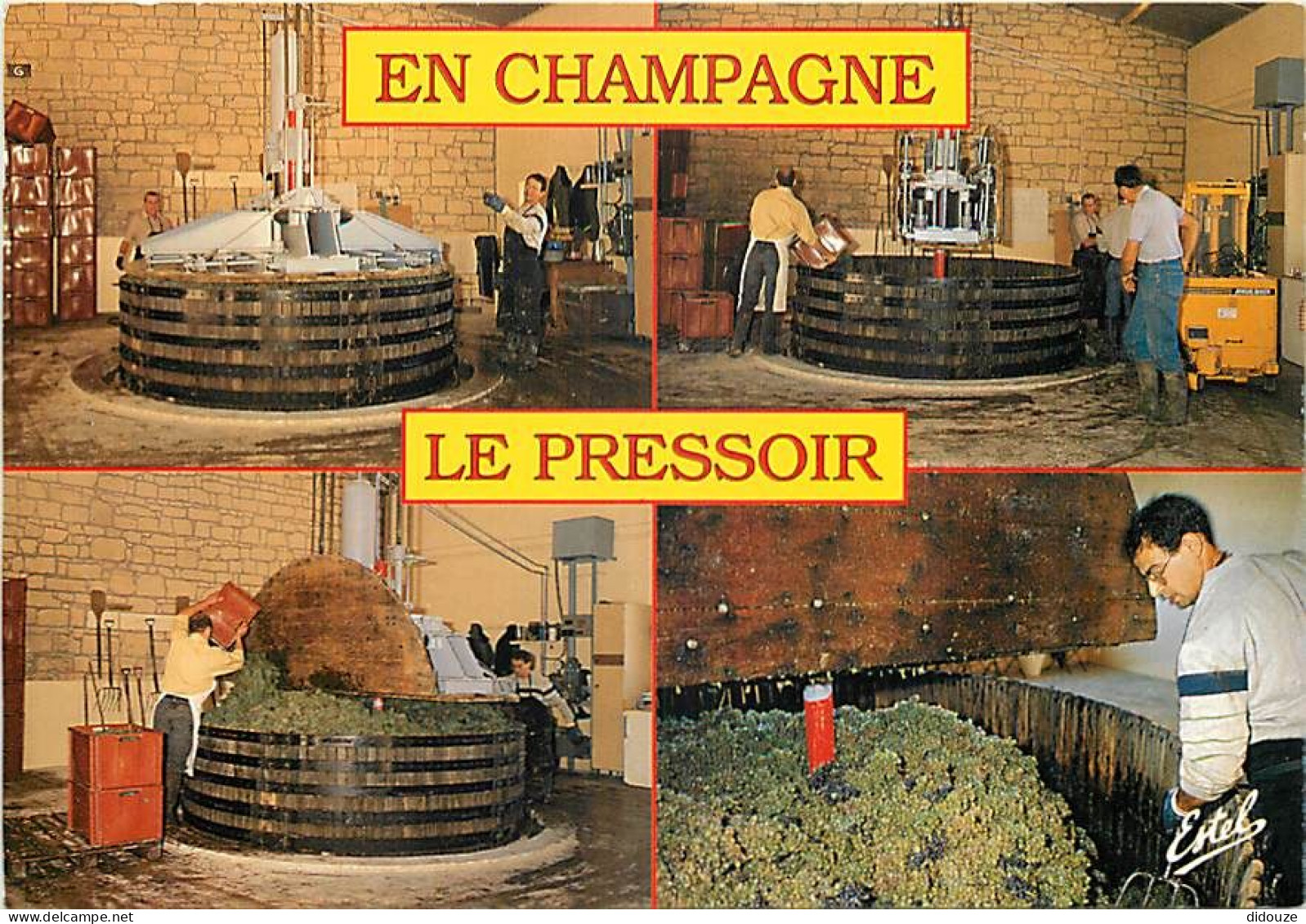 Vignes - Champagne - Le Pressoir - Multivues - CPM - Voir Scans Recto-Verso - Wijnbouw