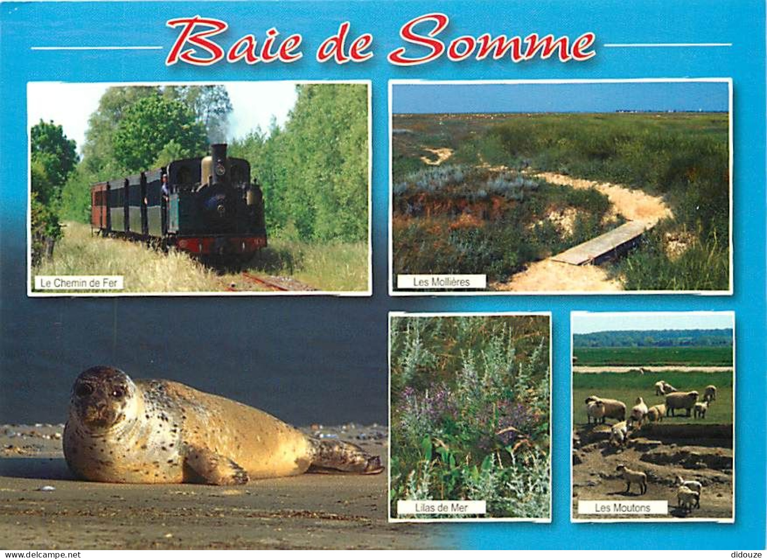 Trains - Chemin De Fer De La Baie De Somme - Multivues - Phoques - Moutons - CPM - Voir Scans Recto-Verso - Treinen