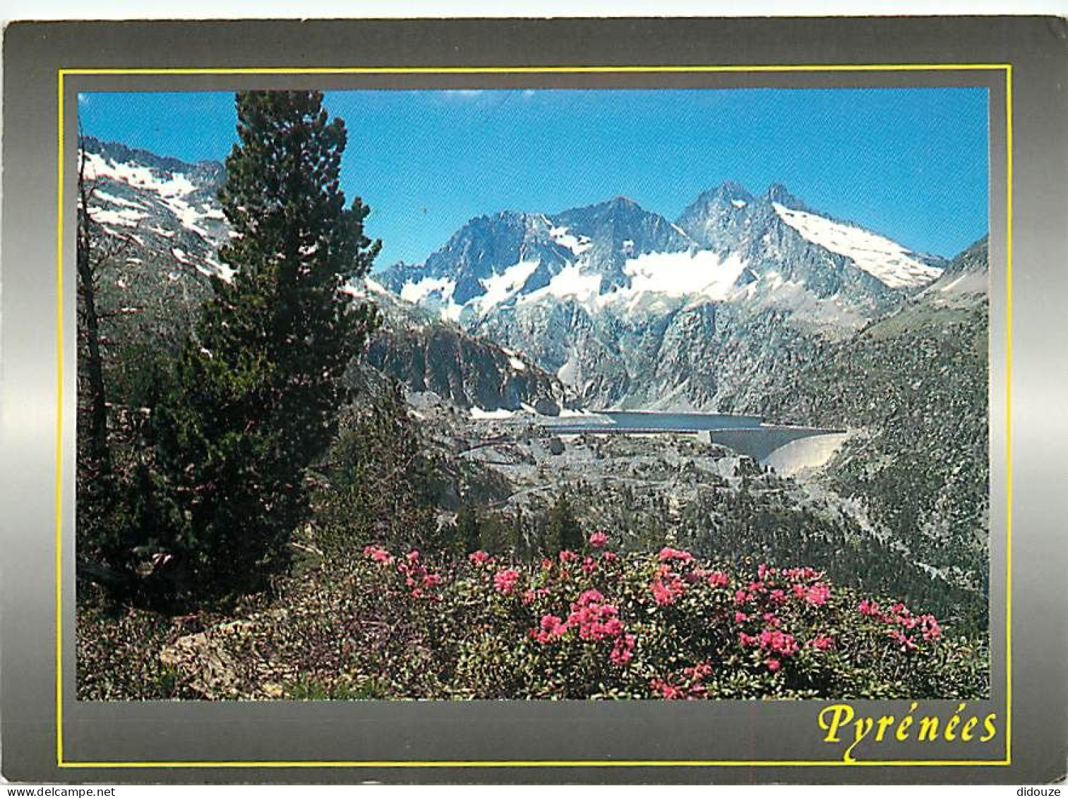 65 - Hautes Pyrénées - Lac De Cap De Long - Barrage De Cap De Long - Fleurs - CPM - Voir Scans Recto-Verso - Altri & Non Classificati