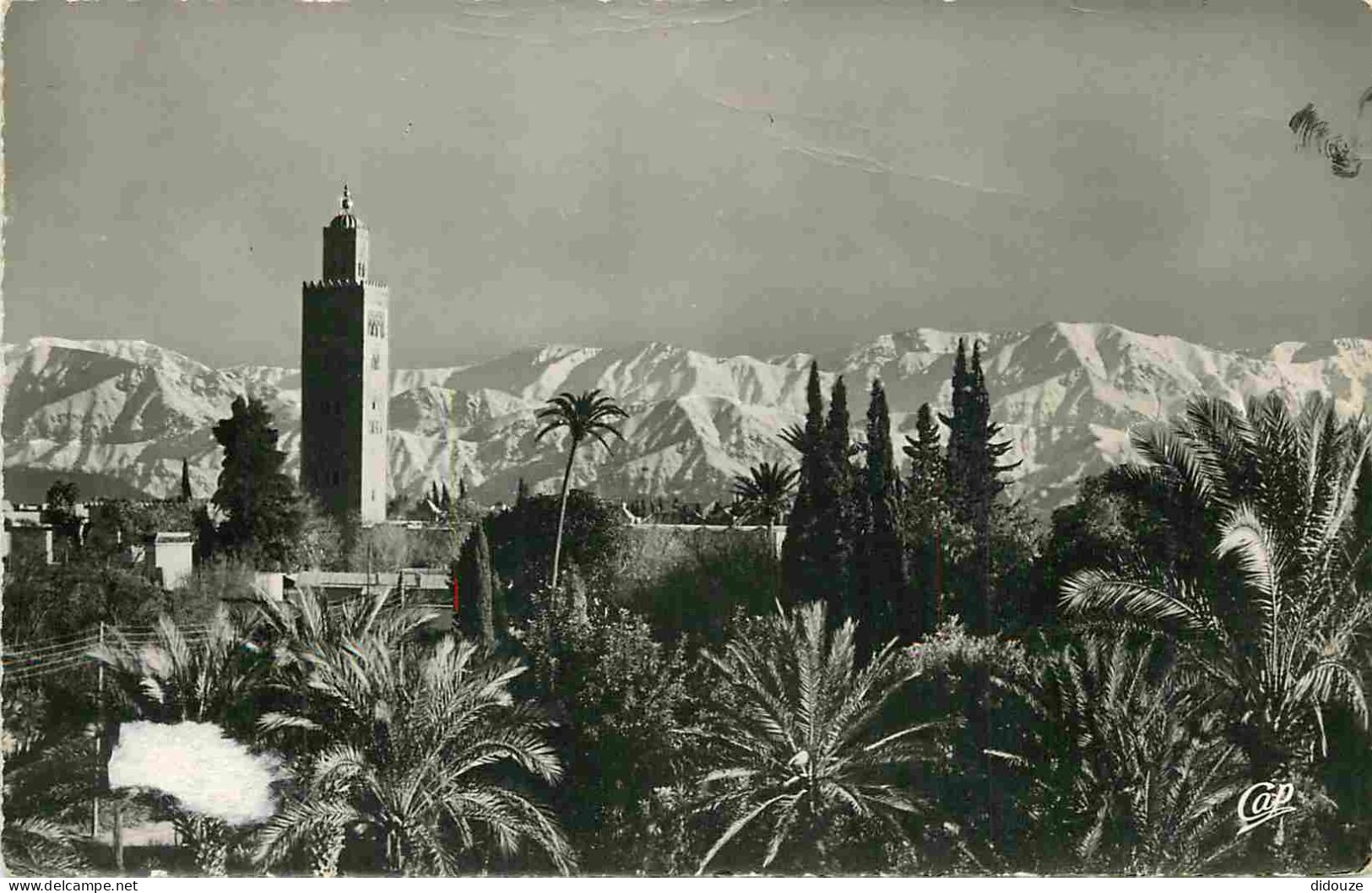 Maroc - Marrakech - La Koutoubia Et L'Atlas - Mention Photographie Véritable - Carte Dentelée - CPSM Format CPA - Voir S - Marrakesh