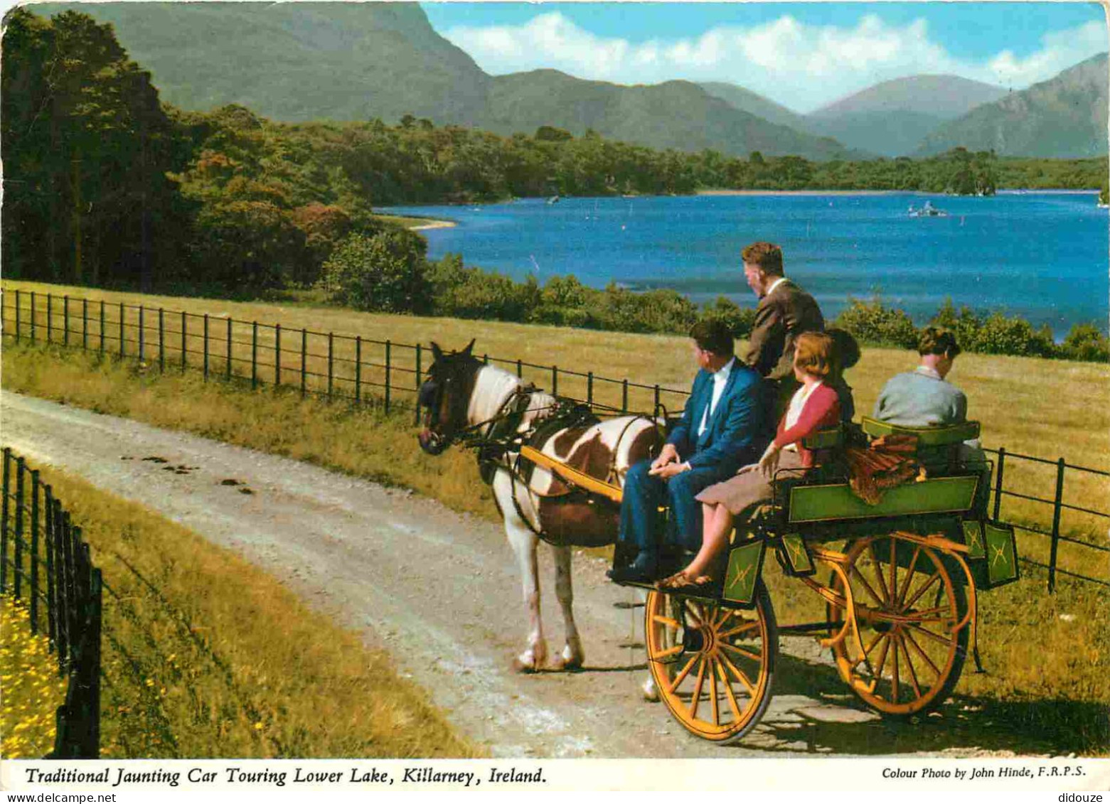 Irlande - Kerry - Killarney - Traditional Jaunting Car Touring Lower Lake - Attelage De Chevaux - CPM - Voir Scans Recto - Kerry