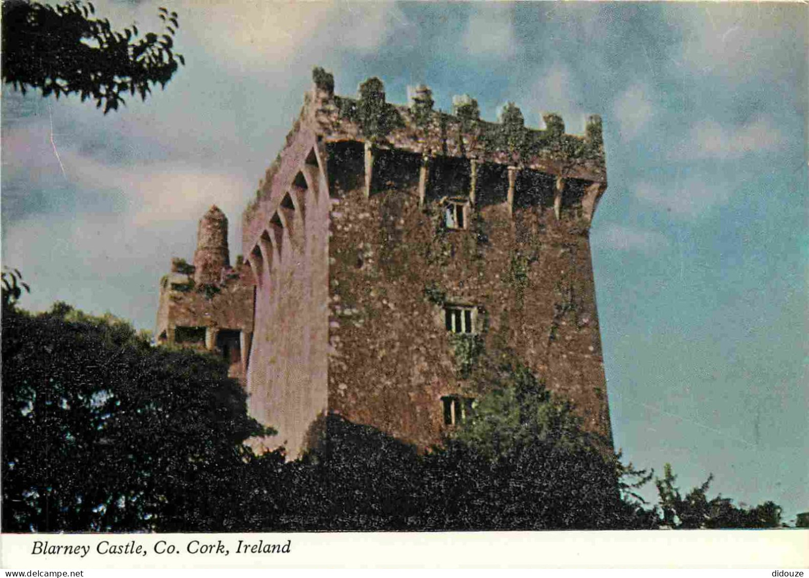 Irlande - Cork - Blarney Castle - CPM - Voir Scans Recto-Verso - Cork