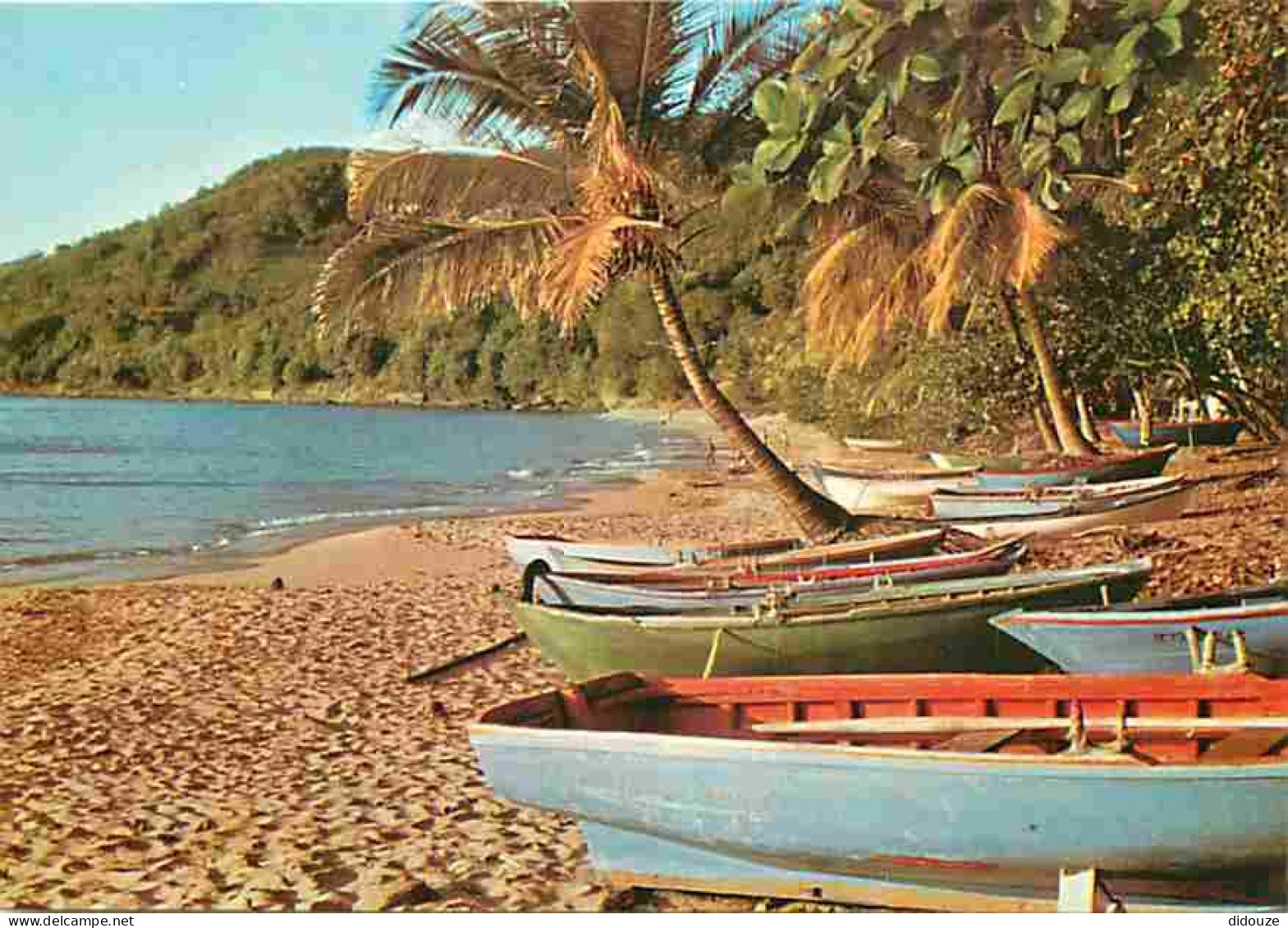 Antilles - Bateaux Saintois Sur La Plage - CPM - Voir Scans Recto-Verso - Otros & Sin Clasificación