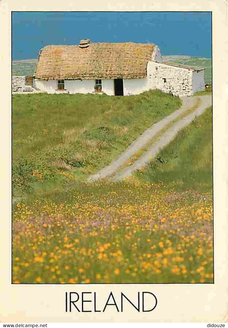 Irlande - A Traditional Irish Cottage - Habitation - CPM - Voir Scans Recto-Verso - Altri