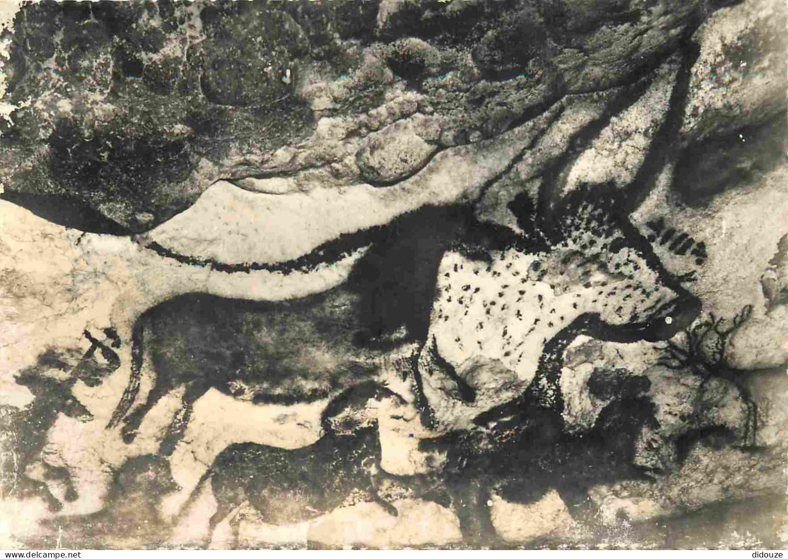 24 - Montignac Sur Vézère - Grotte Préhistorique De Lascaux - Art Peinture Préhistorique - Préhistoire - Mention Photogr - Montignac-sur-Vézère