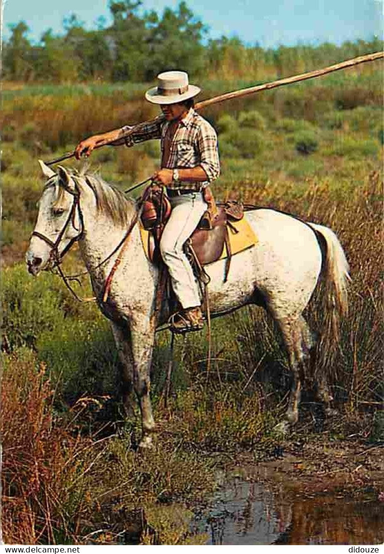 Animaux - Chevaux - Camargue - Les Saintes Maries De La Mer - Gardian à Cheval - CPM - Voir Scans Recto-Verso - Cavalli