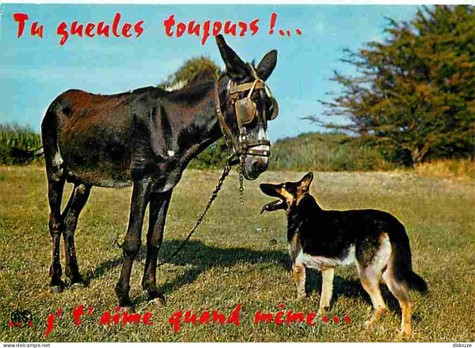 Animaux - Chevaux - Chiens - Carte Humoristique - Carte Neuve - CPM - Voir Scans Recto-Verso - Chevaux