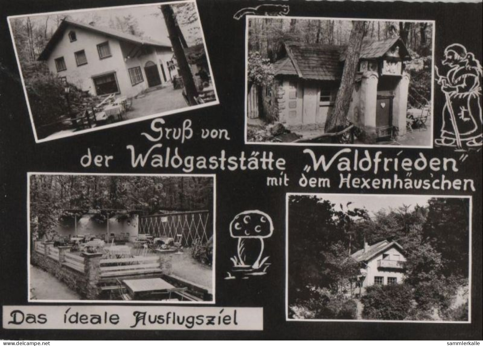 81488 - Salzdetfurth-Gross Düngen - Waldgaststätte Waldfrieden - Ca. 1965 - Bad Salzdetfurth