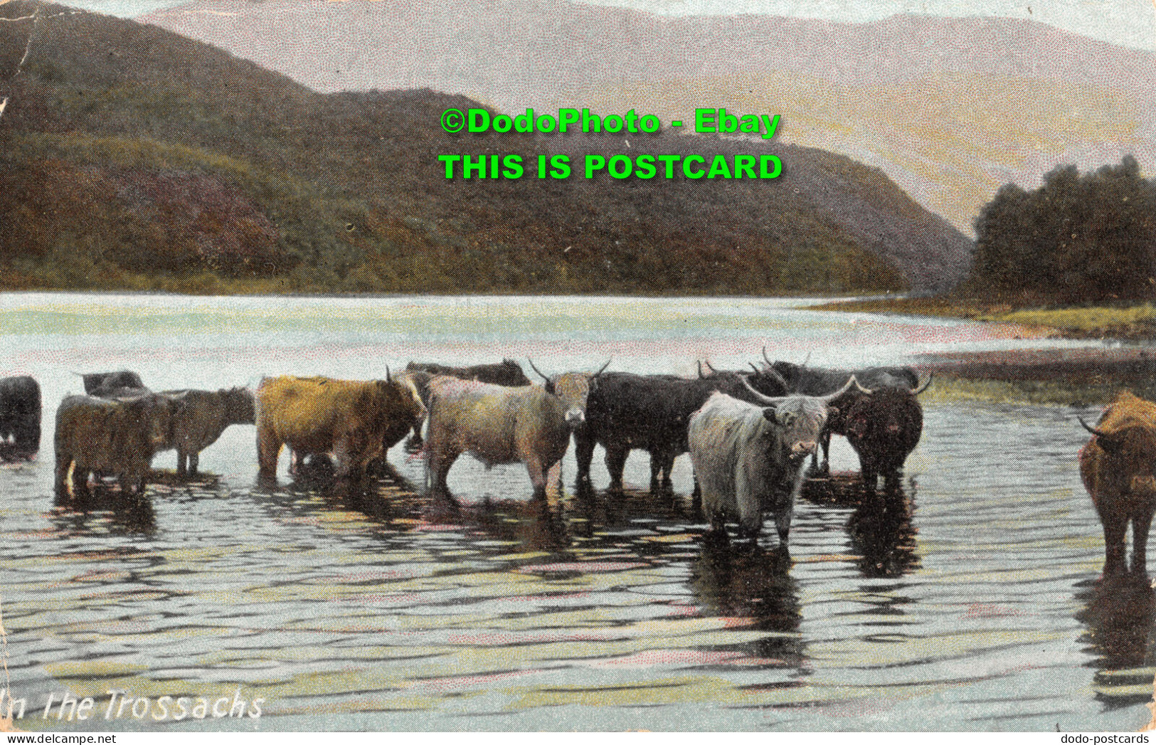 R380182 In The Trossachs. J. W. B. Commercial Series. No. 306. 1910 - Monde