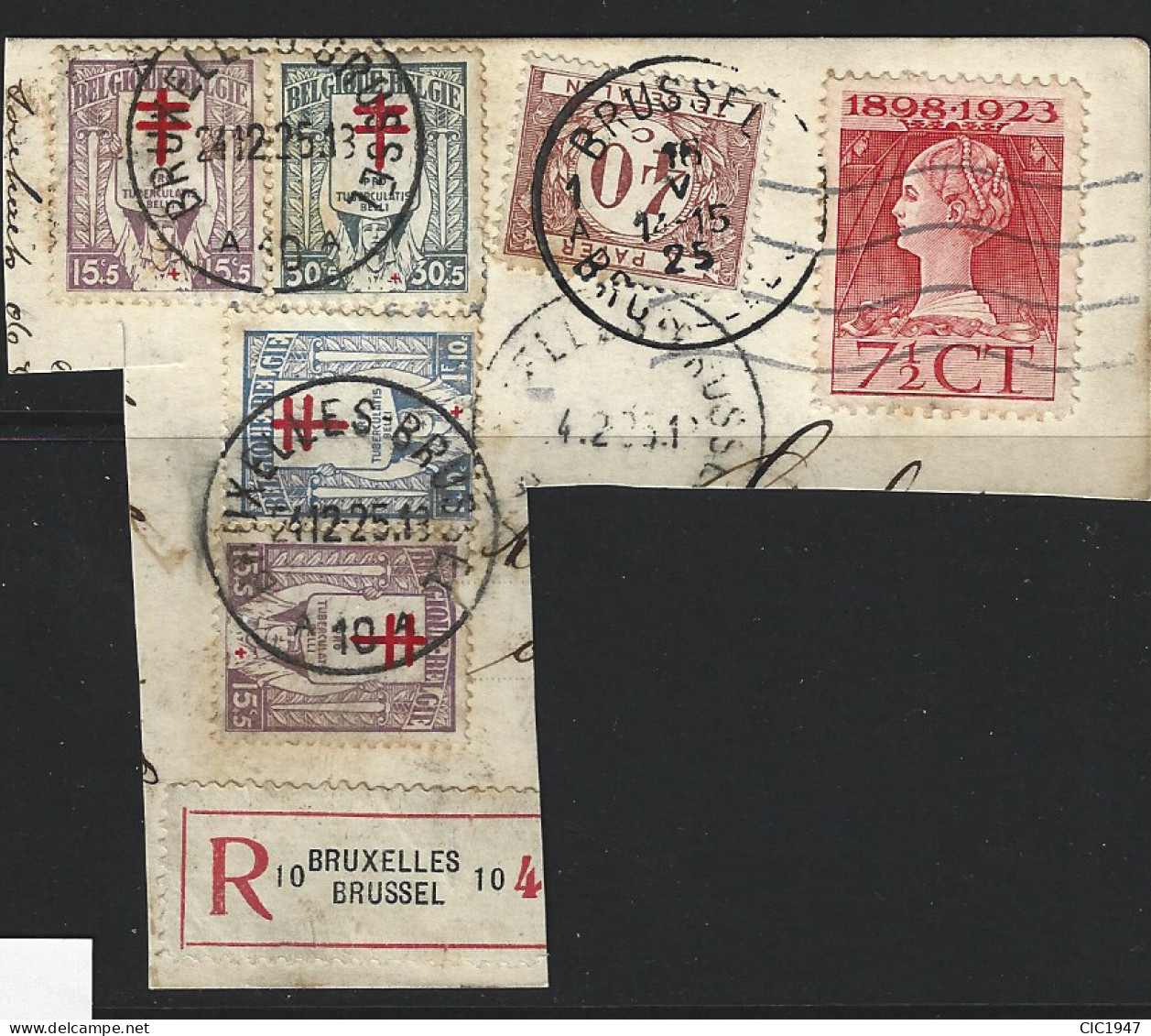 Belgio 1925 Interessante Affrancatura Multipla Su Frammento - Usados