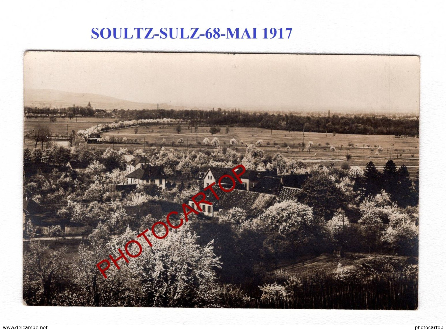 SOULTZ-SULZ-68-MAI 1917-CARTE PHOTO Allemande-GUERRE 14-18-1 WK-Militaria - Soultz