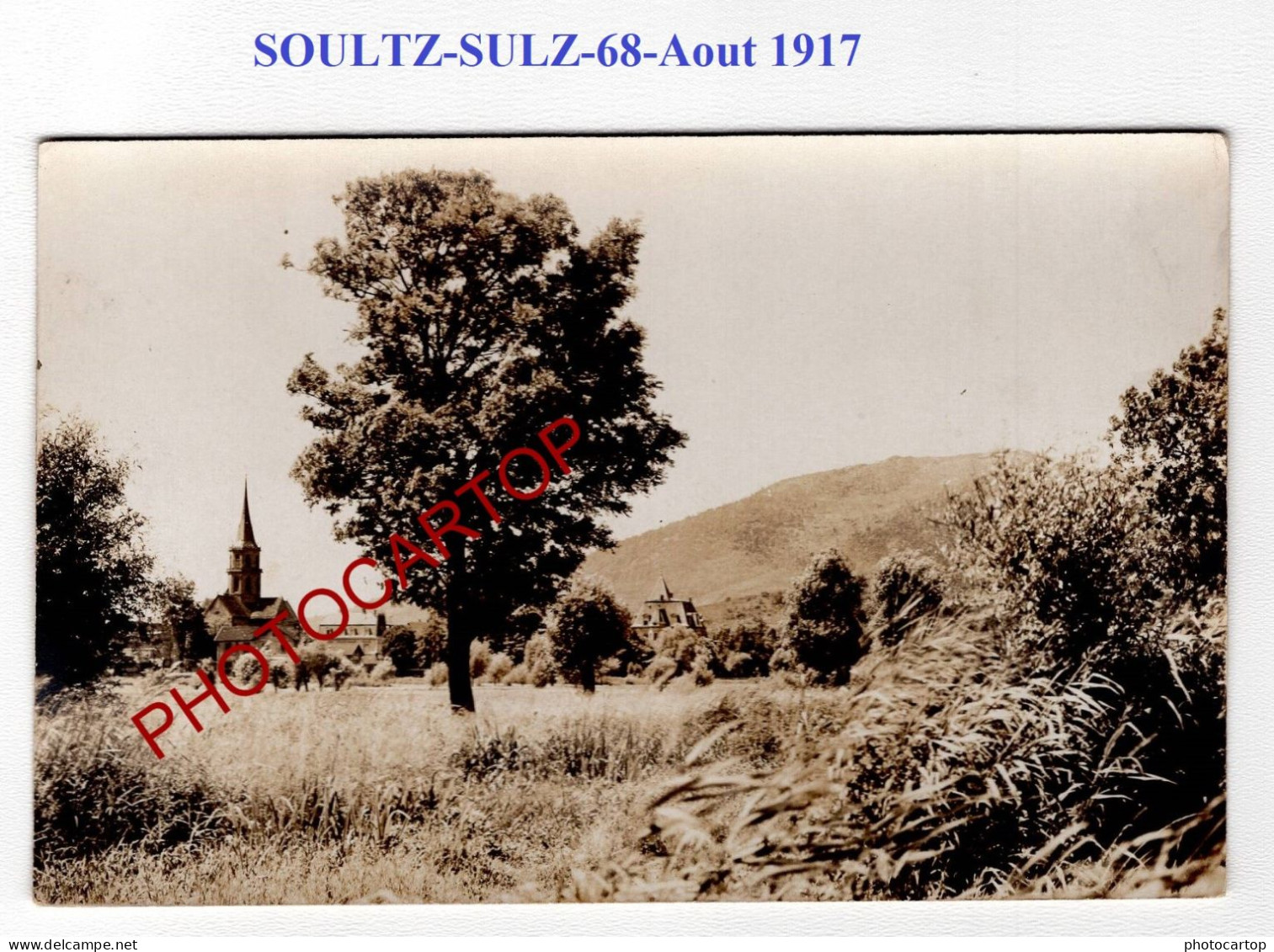 SOULTZ-SULZ-68-AOUT 1917-CARTE PHOTO Allemande-GUERRE 14-18-1 WK-Militaria - Soultz