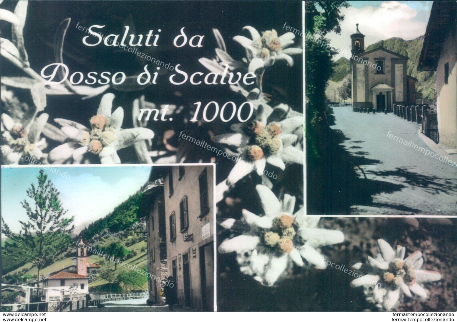 L478 Cartolina Saluti Da Dosso Di Scalve  Provincia Di Bergamo - Bergamo