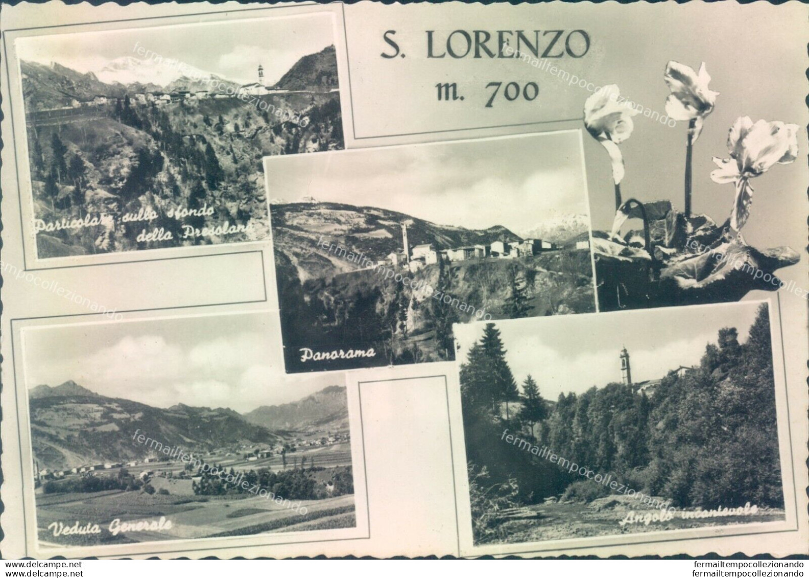 L438 Cartolina S.lorenzo M 700 Vedutine Bella Provincia Di Bergamo - Bergamo