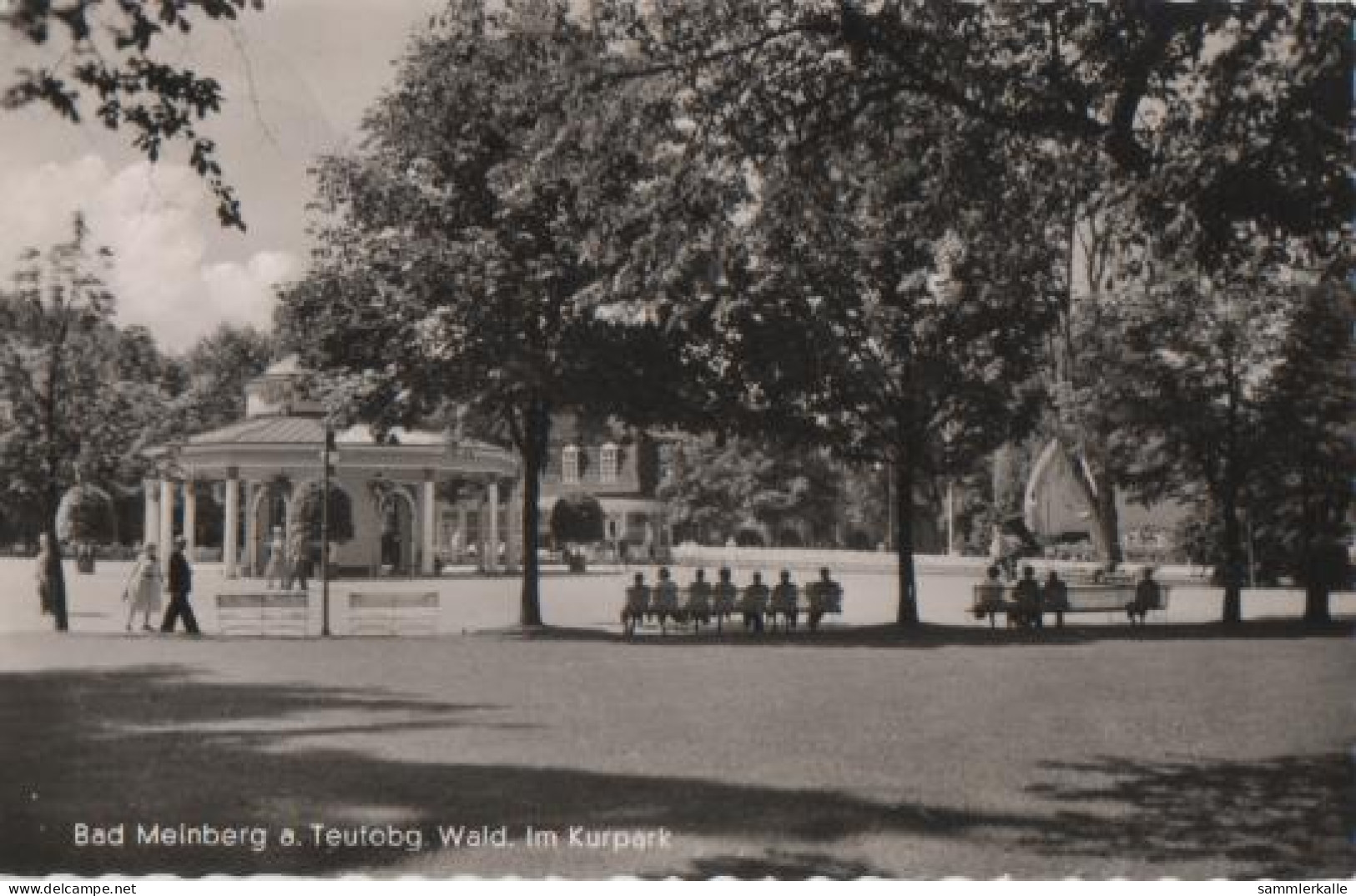 9827 - Bad Meinberg - Kurpark - Ca. 1955 - Bad Meinberg